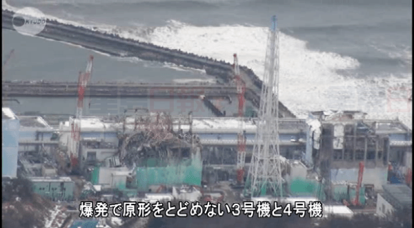 卑詩省海洋學家：日本核洩露不會影響魚類和人身健康