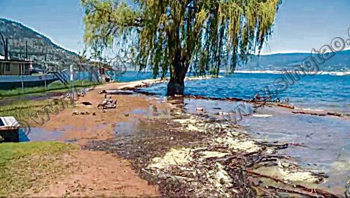 整治港口污染十年後，哈利法克斯海灘仍無人問津