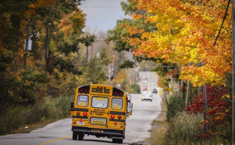 阿岡昆公園”楓景“存巨大反差 100%紅葉究竟在哪？