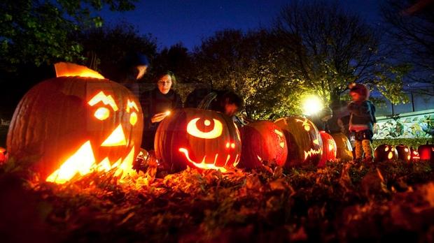 安省南瓜燈雕刻展下週末舉行