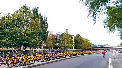 共享單車出海記：普遍受當地政府歡迎 市場空間仍大