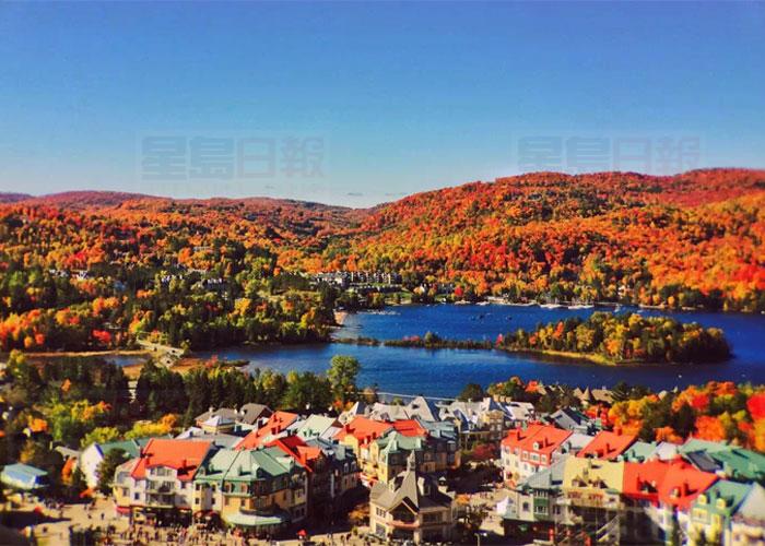 安省秋天的楓葉紅了 七處最美賞楓聖地大盤點