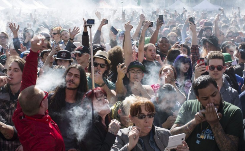 約克區藥駕指控大增 比2015年增9成