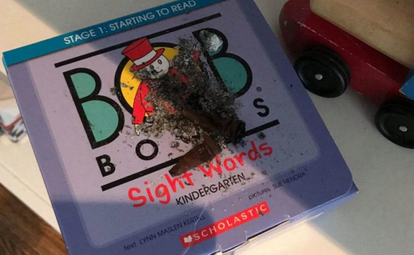 民宿平台出租 多倫多百年老宅被洗劫