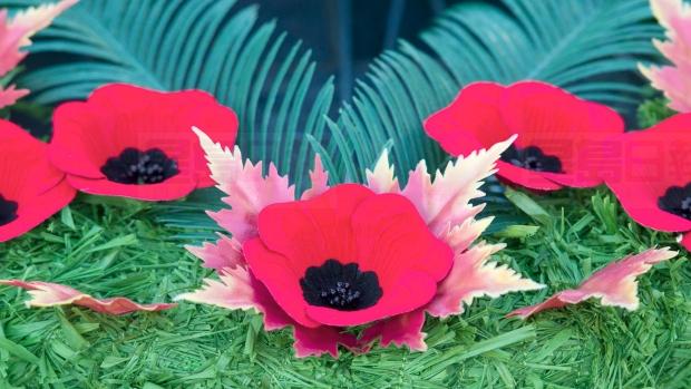 滿地可戰爭紀念碑國殤日遭污損 居民震驚