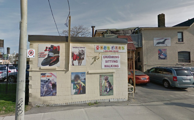 丟失四歲狗狗 多倫多寵物託管中心收穫差評