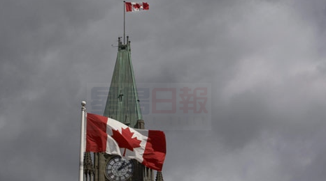 兒子換遺傳病危在旦夕 安省母親上訪聯邦政府