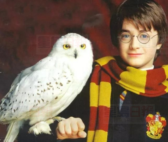 安省過去一周發生3起車禍 受害者竟然都是它！