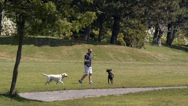 活拜公園禽類大量死亡 政府提醒市民留意犬只安全