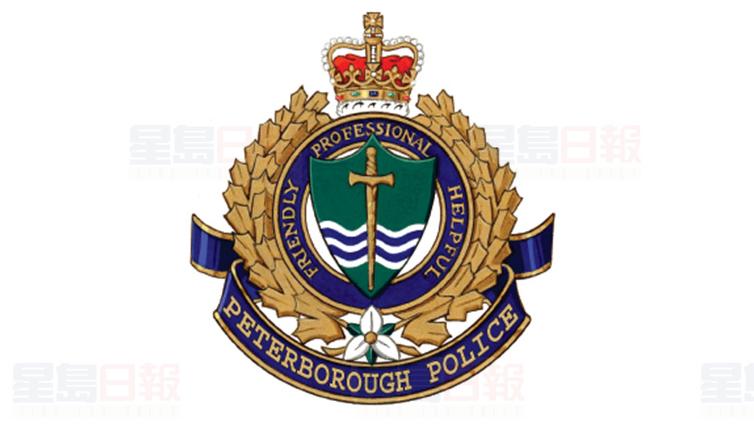 彼得堡13歲熊孩子用玩具槍威脅同學被指控