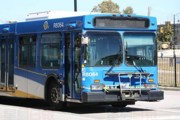 明日起約克區公車進入假期模式！