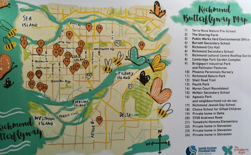 列治文首幅「蝴蝶之路地圖」問世