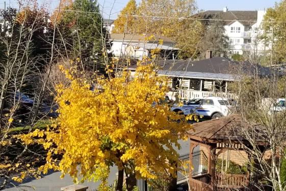 素里Cloverdale發生槍擊案 無人受傷