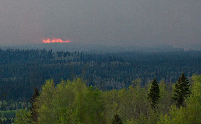 加國男子縱火引發森林大火 被判罰款4萬加元