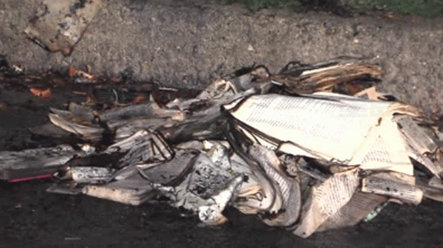 多倫多附近一社區圖書分享箱遭故意縱火