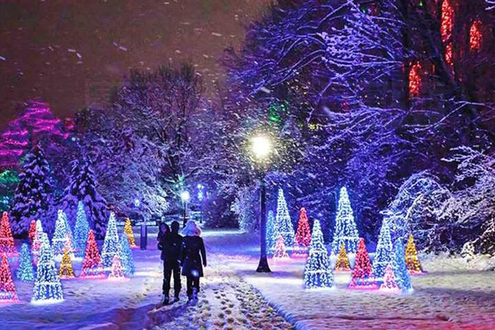 35年歷史大瀑布冬日彩燈節