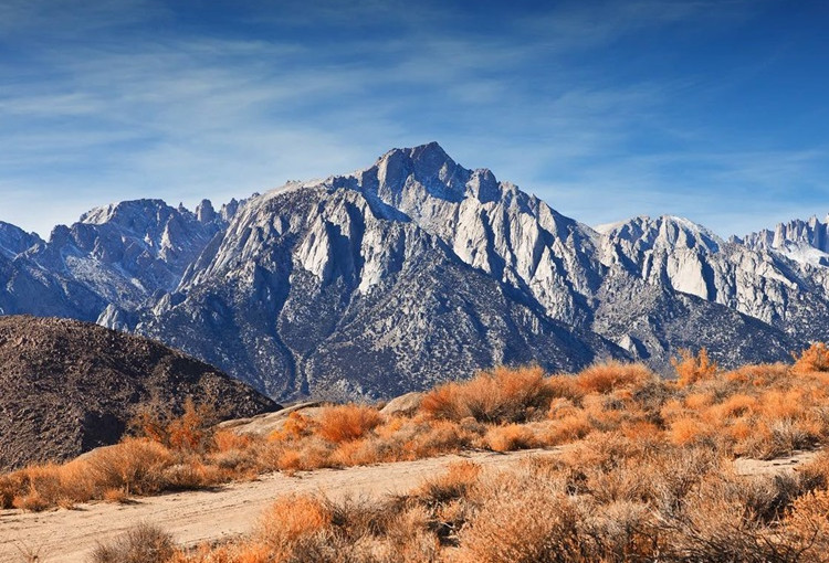 加國的驕傲！他因壯舉成為被嘉獎的20個英雄之一