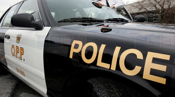 萬錦男子訪問兒童色情網站被逮捕