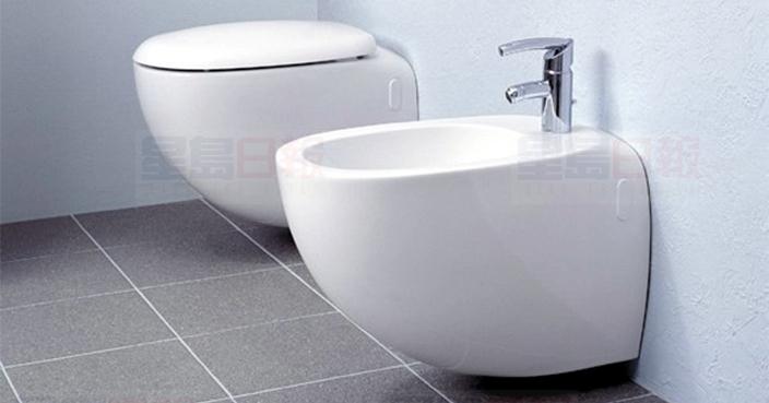 歐洲廁所有兩個馬桶 小心別用錯