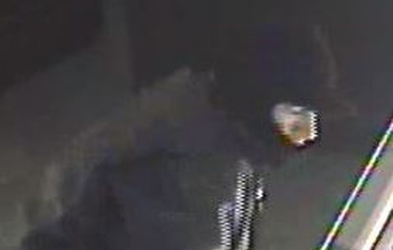 多市珠寶店50萬加元商品被盜 警方搜尋三疑犯