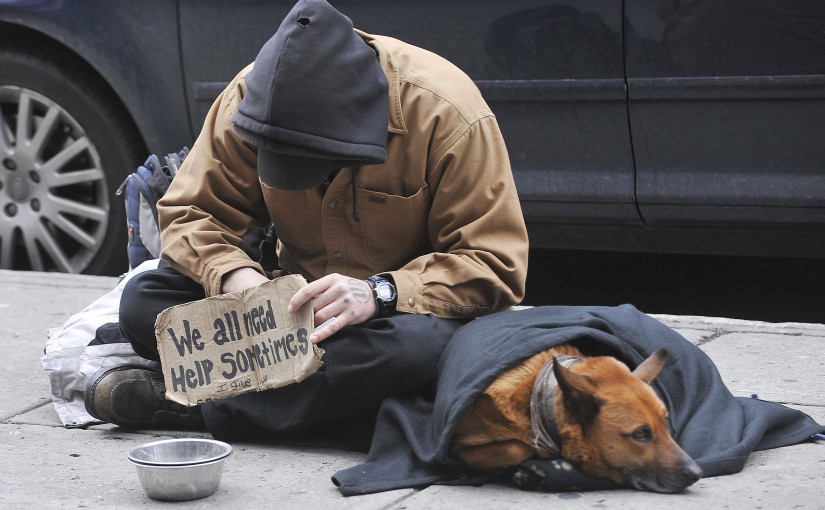 多倫多為流浪漢新開400新床位