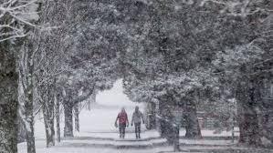 極端天氣仍在持續 皮爾遜機場150架次航班取消