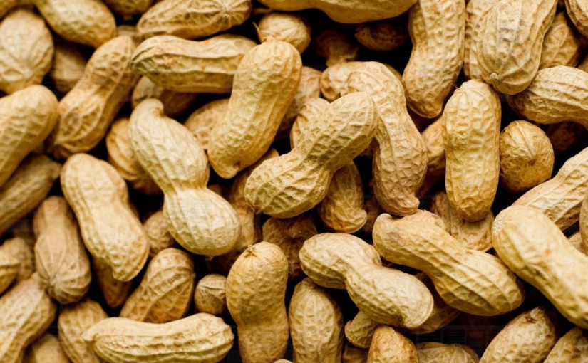 免疫療法：或為過敏者提供治愈機會