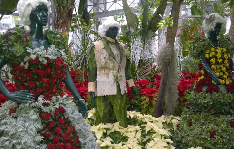 聖誕花展已開幕快來欣賞！