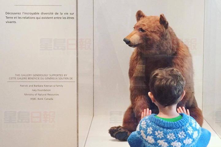 安省皇家博物館變冬季奇妙樂園 有各種主題展！