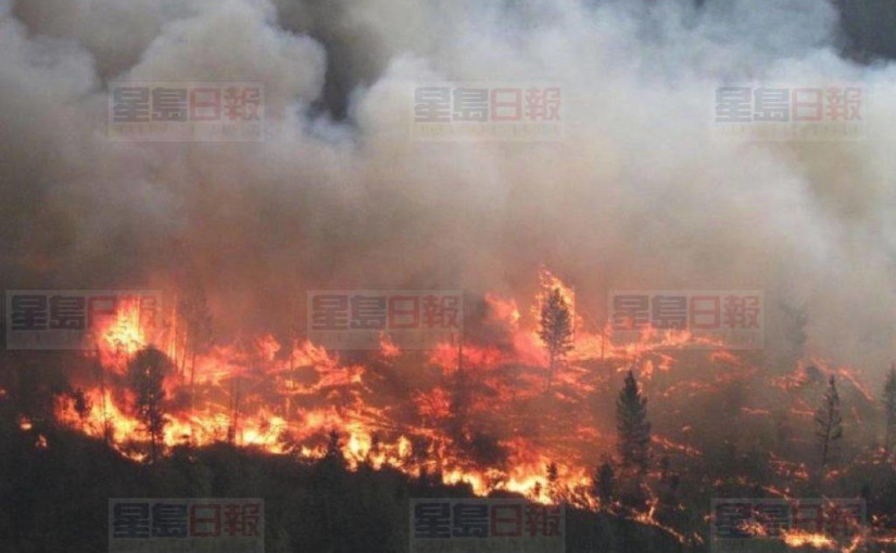 加州大火失控：20萬人被迫逃離50多所學校關閉