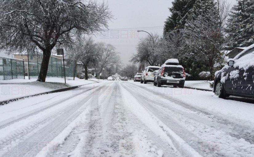 暖心！一年級小學生為流浪者織過冬圍脖