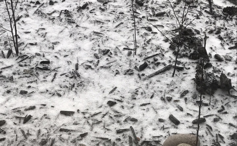 多倫多雪雹交加！司機出門須極度小心！