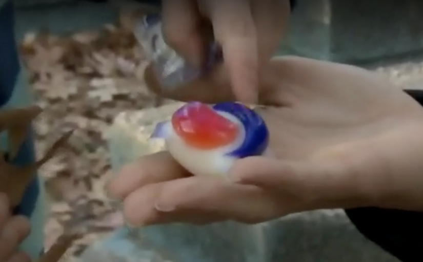 不要再吃汰漬洗衣球了！很危險