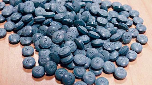 OHIP+計劃實施逾十天 出現預料之外麻煩事