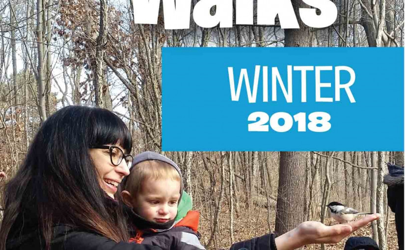 動植物如何度過嚴寒？來這裡告訴你