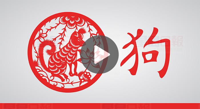 視頻：戊戌狗年 屬狗坐太歲小心身體！