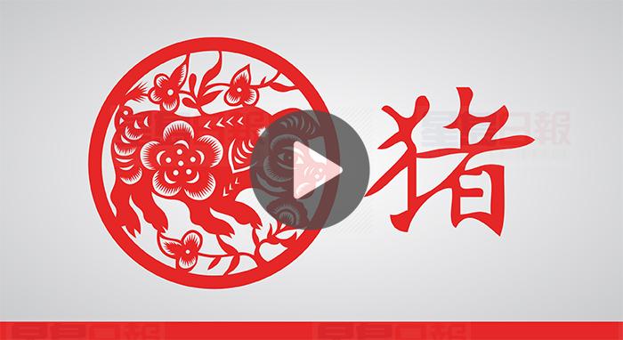 視頻：戊戌狗年 屬豬今年貴人多