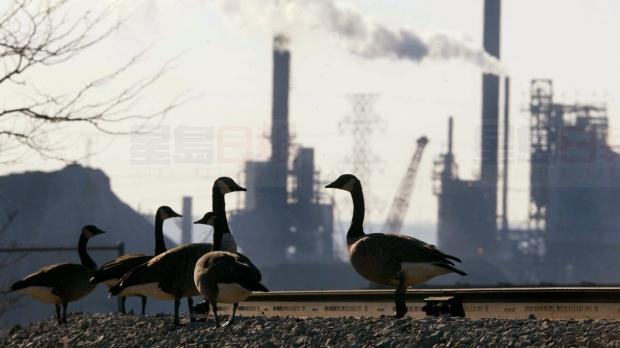 多倫多明日油價（3月1日）