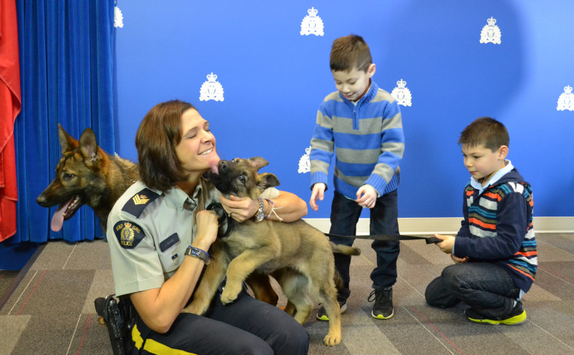 皇家騎警向青少年徵集警犬名字
