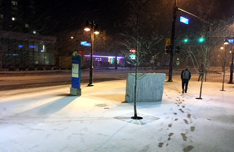 大溫哥華及菲沙河谷地區周末可能會再降雪