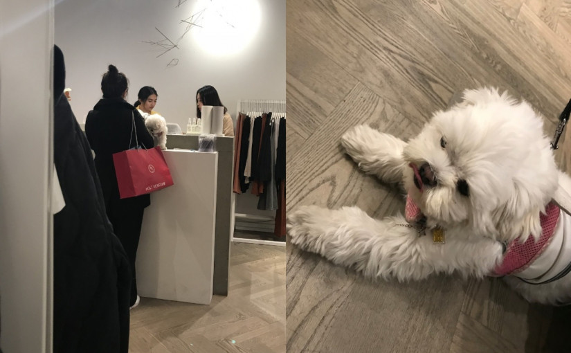 溫哥華網友商場偶遇王祖賢