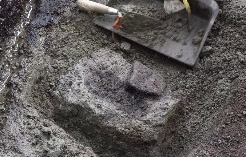 卑詩省島嶼發現北美最遠古化石足跡