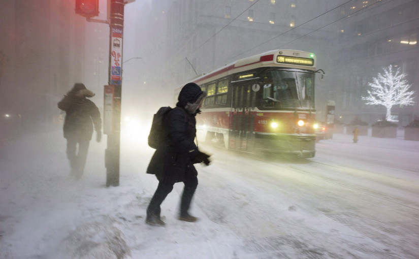 TTC兩百名員工涉詐騙醫療保險 涉案金額上百萬！