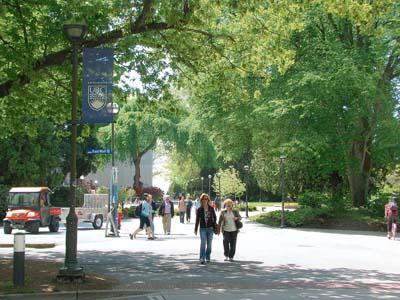 打擊性犯罪！安省開展大學生性暴力調查