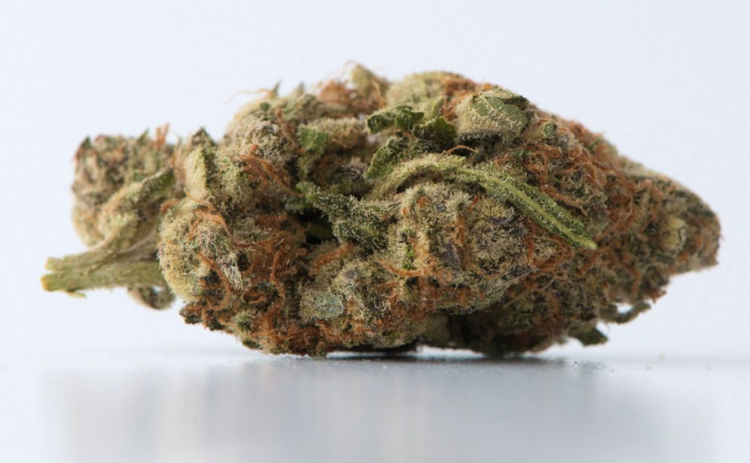 專家：大麻合法化潛在問題多 使用者未來健康狀況成迷