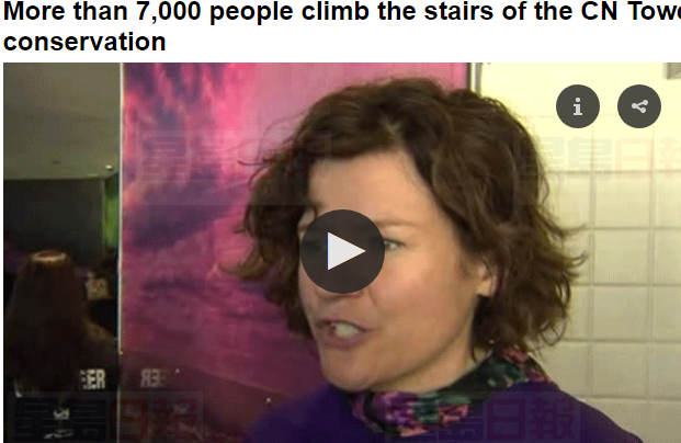近萬人攀登加拿大國家電視塔 爲野生動物募款