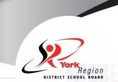 YRDSB通知： 約克區夜校今日停課