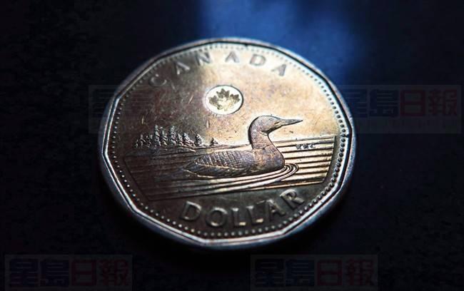 調查發現 卑詩省的小型商業東主對未來的信心下跌