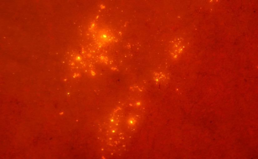 加拿大瓶裝水中發現微型塑料！這些品牌都中招！