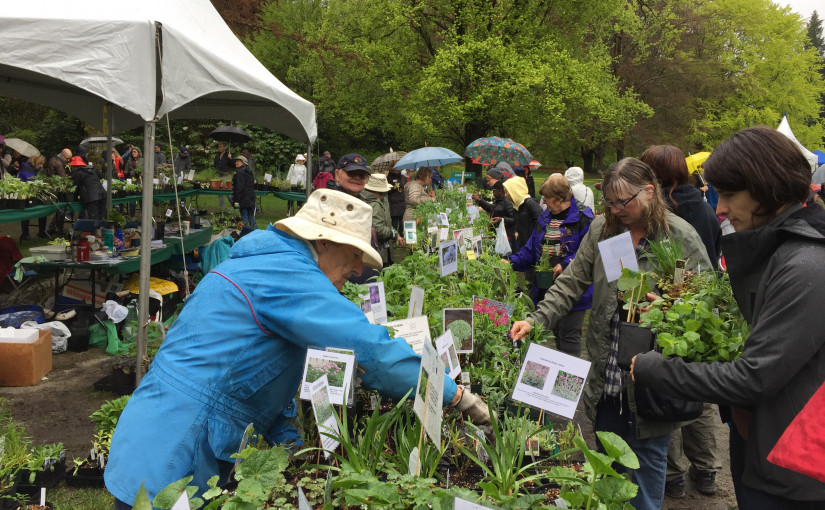 溫哥華植物公園舉行植物大展銷